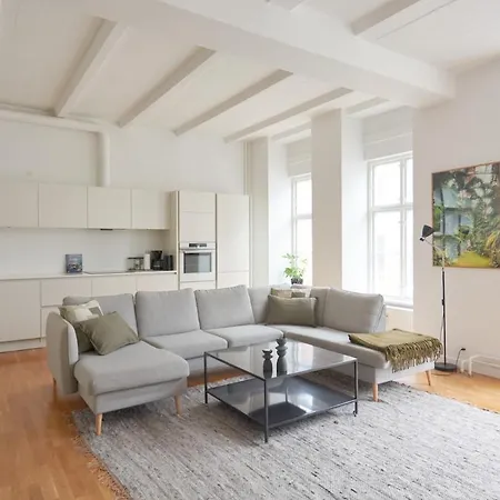 Super Stylish 3-bedroom In Center * קופנהגן